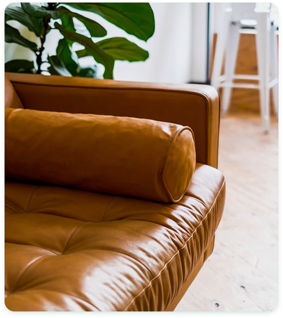 A brown leather chair and a plant in the background.